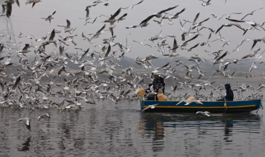 Cleaning the Yamuna: How Delhi is Fighting to Save Its Lifeline